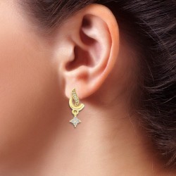 Diamond Earring in 18 kt gold (2.30 gram) with Diamonds (0.17 ct)